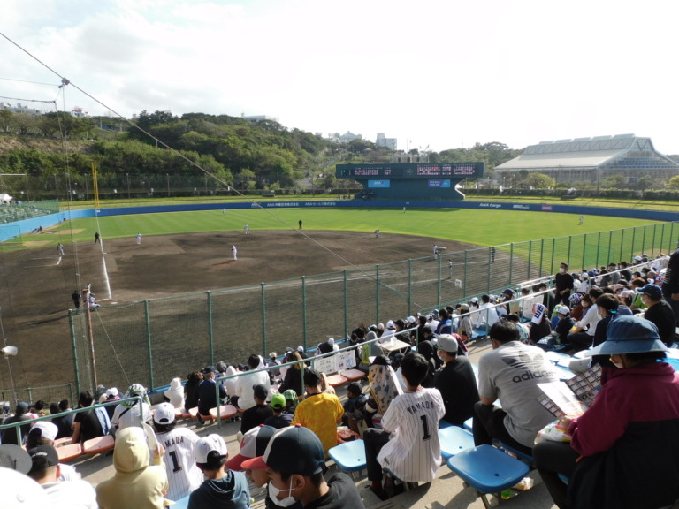【女子アナの結婚スキャンダル】プロ野球選手や経営者との結婚は本当？真実を暴露！